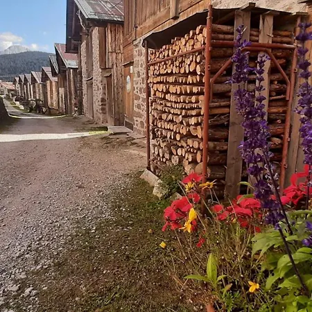 Apartmán G.& G.